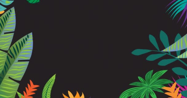 Animatie Van Tropische Plantenbladeren Zwarte Achtergrond Tropisch Wildlife Avonturenconcept Digitaal — Stockvideo