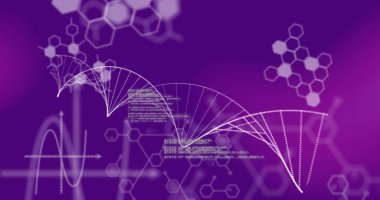 Bilimsel veri ve DNA iplikçiklerinin resmi mor arkaplandaki beyaz parçacıklarla oluşturuldu. Küresel tıp araştırma bilimi konsepti dijital olarak oluşturulmuş görüntü.