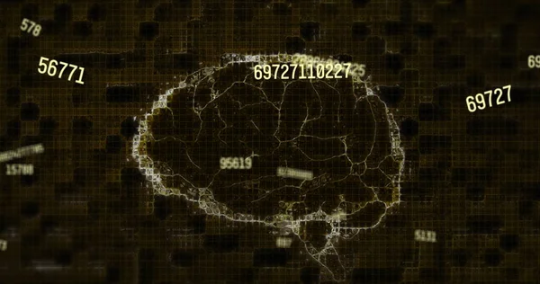 Imagem Números Que Mudam Com Rotação Cérebro Humano Conceito Aprendizagem — Fotografia de Stock