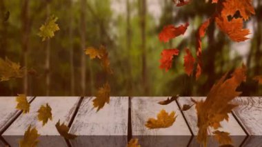 Ormana karşı ahşap yüzeyde yüzen çoklu sonbahar yapraklarının dijital animasyonu. Sonbahar mevsimi konsepti