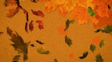 Kahverengi arka plana düşen birden fazla sonbahar yapraklarının animasyonu. Doğa, sonbahar ve mevsimler dijital olarak üretilen video konsepti.