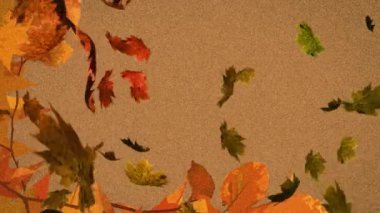 Kahverengi arka plana düşen birden fazla sonbahar yapraklarının animasyonu. Doğa, sonbahar ve mevsimler dijital olarak üretilen video konsepti.