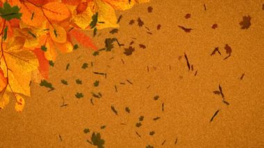 Turuncu arka plana düşen birden fazla sonbahar yapraklarının animasyonu. Doğa, sonbahar ve mevsimler dijital olarak üretilen video konsepti.