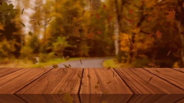Digital Animation Multiple Autumn Leaves Floating Wooden Surface Forest Pathway — Stock Video