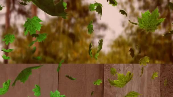 Animation Numérique Plusieurs Feuilles Automne Flottant Sur Surface Bois Contre — Video