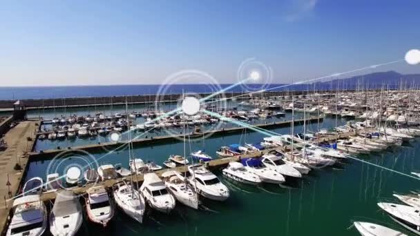 Arka Planda Liman Görüntüsüne Karşı Bağlantılar Ağı Lojistik Ulaşım Sektörü — Stok video