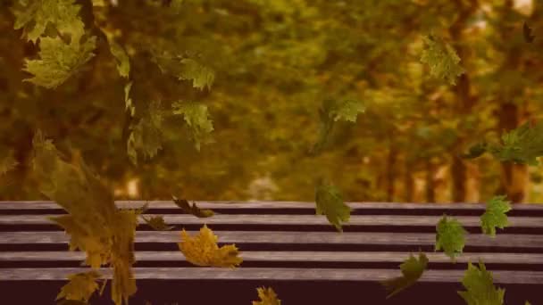 Анимация Нескольких Осенних Листьев Падающих Над Скамейкой Природа Осень Сезоны — стоковое видео
