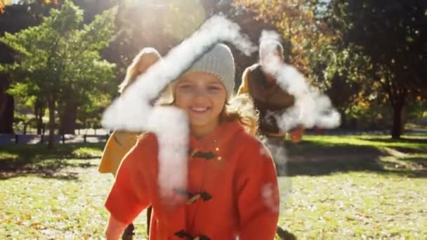 公園で遊ぶ白人の家族に対して家の形を形成する煙 家族愛と団結の概念 — ストック動画