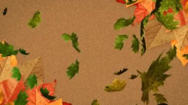 Çoklu sonbahar akçaağaç yaprakları yaprakların üzerine düşer ve kahverengi arka planda alanı kopyalarlar. Sonbahar mevsimi konsepti