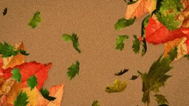 Kahverengi arka plana düşen birden fazla sonbahar yapraklarının animasyonu. Doğa, sonbahar ve mevsimler dijital olarak üretilen video konsepti.