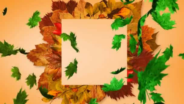 Animation Mehrerer Herbstblätter Die Auf Braunen Hintergrund Fallen Konzept Natur — Stockvideo