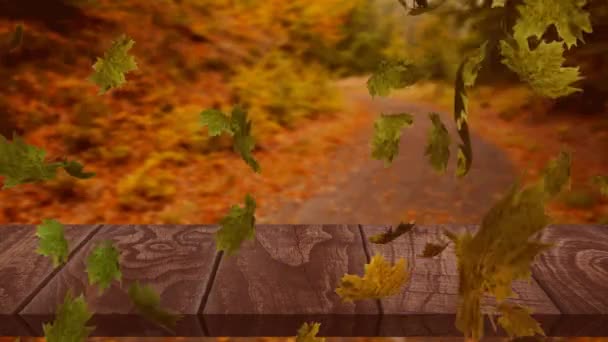Orman Yoluna Karşı Ahşap Yüzeyde Yüzen Çoklu Sonbahar Yapraklarının Dijital — Stok video