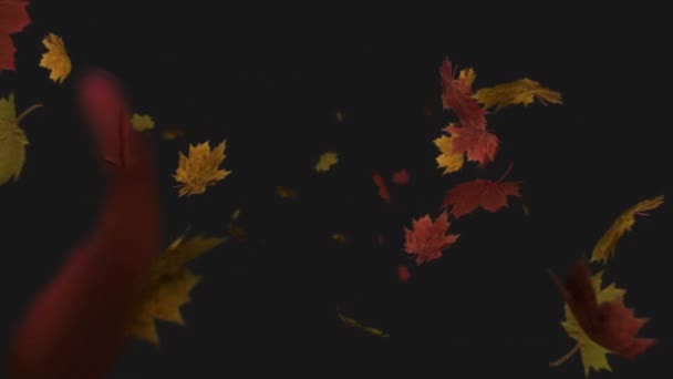 Animation Multiple Autumn Leaves Falling Black Background Nature Autumn Seasons — Stock Video