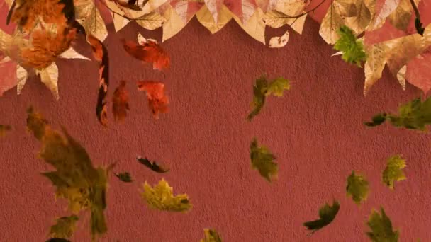 Анімація Декількох Осінніх Листя Падають Коричневий Фон Природа Осінь Сезони — стокове відео
