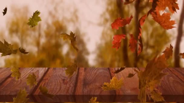 Анимация Нескольких Осенних Листьев Падающих Над Скамейкой Природа Осень Сезоны — стоковое видео