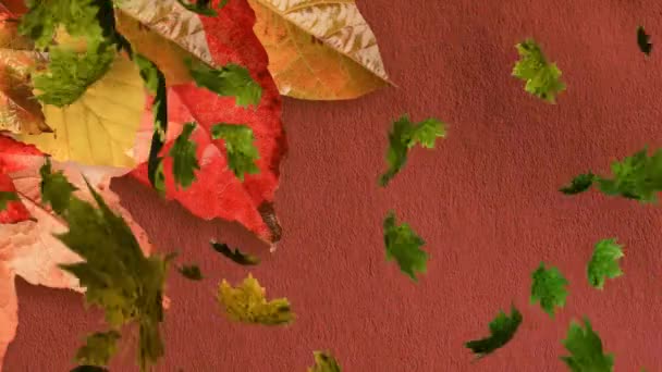 Animation Multiple Autumn Leaves Falling Brown Background Nature Autumn Seasons — Stock Video