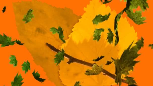 オレンジ色の背景に複数の紅葉のアニメーション 自然や秋や季節の概念をデジタルで生成し — ストック動画