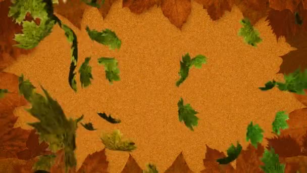 Multiple Autumn Maple Leaves Falling Leaves Copy Space Orange Background — Stock Video