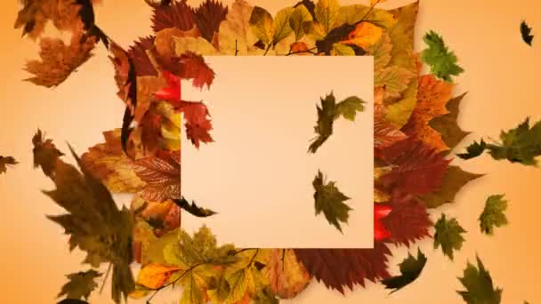 秋天的多片枫叶落在树叶上 在橙色背景下复制空间 秋季季节概念 — 图库视频影像