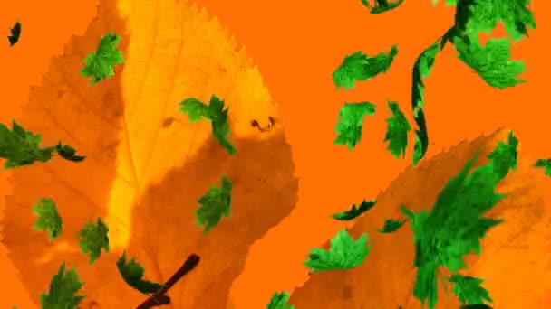 Animação Várias Folhas Outono Caindo Sobre Fundo Laranja Natureza Outono — Vídeo de Stock