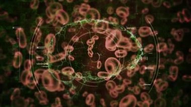 Kapsam taramasının animasyonu ve yüzen 19 hücrenin üzerinde dönen insan beyni. küresel covid 19 salgın konsepti dijital olarak oluşturulmuş video.