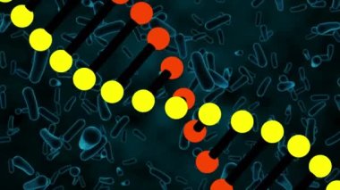 Coperid 19 hücrenin üzerinde dönen DNA iplikçiklerinin canlandırması. küresel covid 19 salgın konsepti dijital olarak oluşturulmuş video.