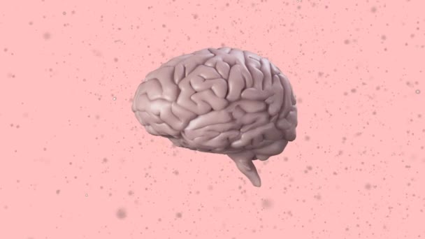 Animation Human Brain Spinning Grey Particles Pink Background Science Research — Stock Video