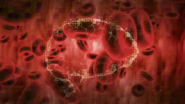 Анімація Людського Мозку Крутиться Над Червоними Кров Яними Тільцями Глобальна — стокове відео