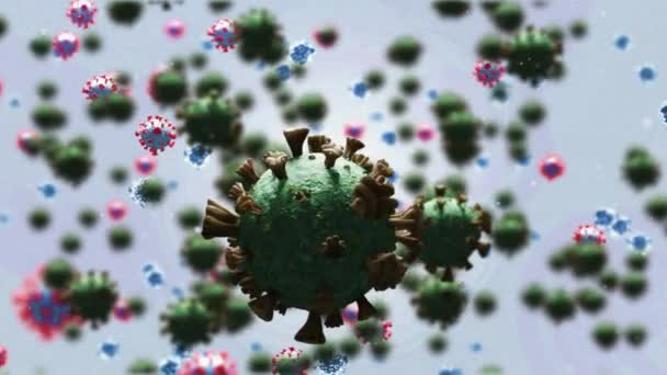 在白质背景上对19个弧菌病毒细胞进行了活化 全球联盟19大流行病概念数码视频 — 图库视频影像