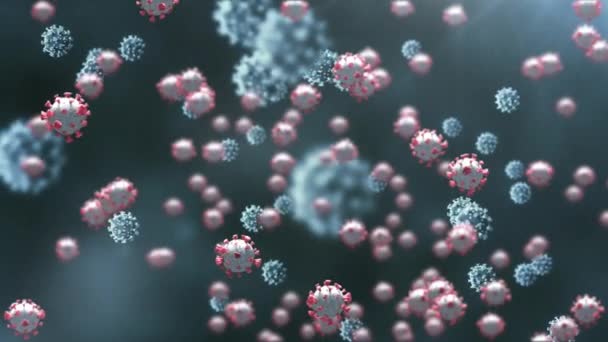 Animatie Van Covid Viruscellen Zwarte Achtergrond Global Covid Pandemisch Concept — Stockvideo