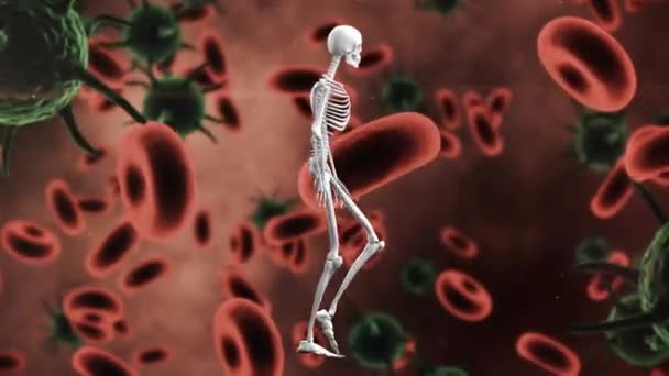 Animación Del Esqueleto Humano Caminando Sobre Covid Células Flotando Global — Vídeo de stock