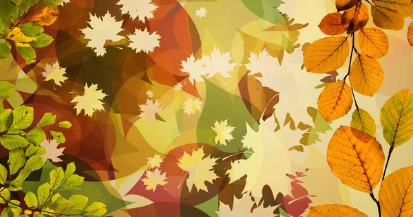 Состав Листьев Падающих Над Осенним Пейзажем Природа Сезоны Осенняя Цветовая — стоковое фото