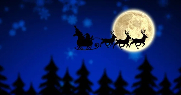 Composition Santa Claus Sleigh Reindeer Fir Trees Moon Christmas Tradition — Stock Photo, Image