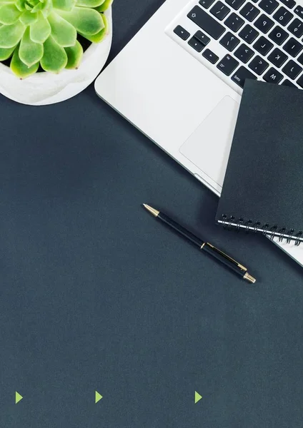 Composizione Laptop Notebook Penna Pianta Sul Tavolo Concetto Modello Business — Foto Stock