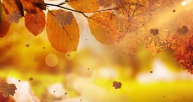 Sonbahar manzarasının üzerine düşen yaprakların animasyonu. Doğa, mevsimler, sonbahar ve renk konsepti dijital olarak oluşturulmuş video.