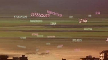 Gün batımında şehrin ufuk çizgisinde titreşen ışık çizgileriyle sayısal veri işleme animasyonu. İletişim, bağlantı ve veri paylaşım teknolojisi konsepti dijital olarak oluşturulmuş video.