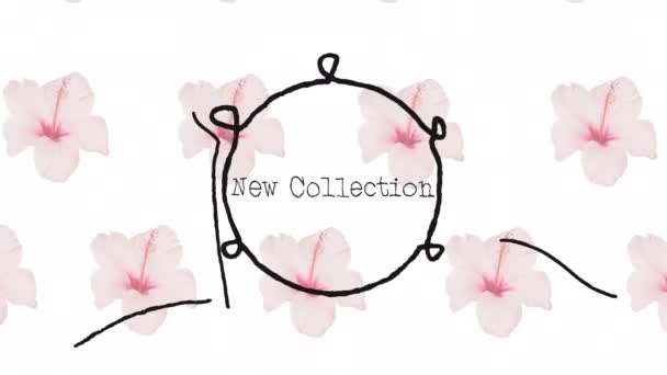 Animation Une Nouvelle Collection Texte Sur Des Fleurs Sur Fond — Video