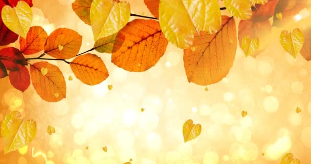 Animation Feuilles Tombant Sur Des Paysages Automnaux Nature Saisons Automne — Video