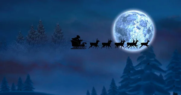 モミの木や月の上にトナカイとそりでサンタクラスの構成 クリスマス お祝いのコンセプトをデジタルで — ストック写真