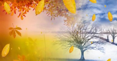 Sonbahar ve kış manzarası üzerine düşen yaprakların animasyonu. Doğa, mevsimler, sonbahar ve renk konsepti dijital olarak oluşturulmuş video.