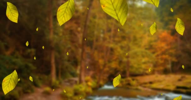 Анімація Листя Падають Осінні Лісові Пейзажі Природа Сезони Осінь Колір — стокове відео