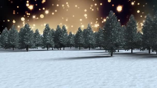 Animation Glowing Spots Light Fir Trees Winter Scenery Christmas Winter — Stock Video