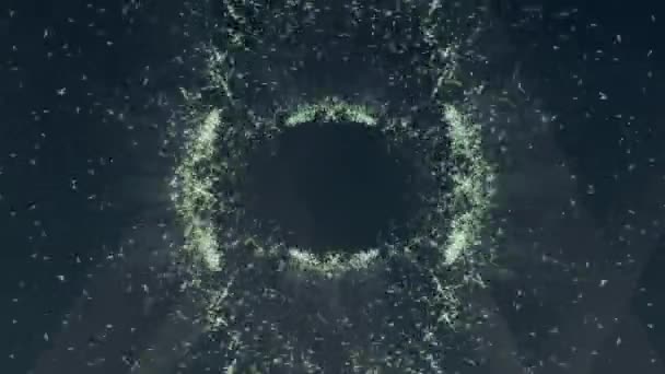 发光的白色粒子在黑色背景上以圆形运动共同运动的动画 连接和移动概念 数字视频 — 图库视频影像