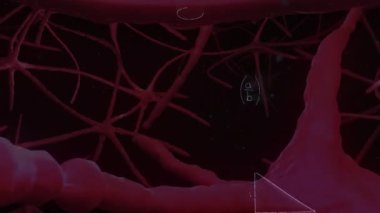 Matematiksel denklemlerin dijital nöronların siyah arkaplan üzerindeki animasyonu. küresel eğitim, bilim, dijital arayüz ve dijital olarak üretilen video konsepti.