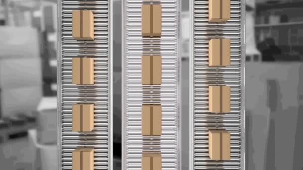 Animation Cardboard Boxes Moving Conveyor Belts Warehouse Global Shipping Connections — Stock Video