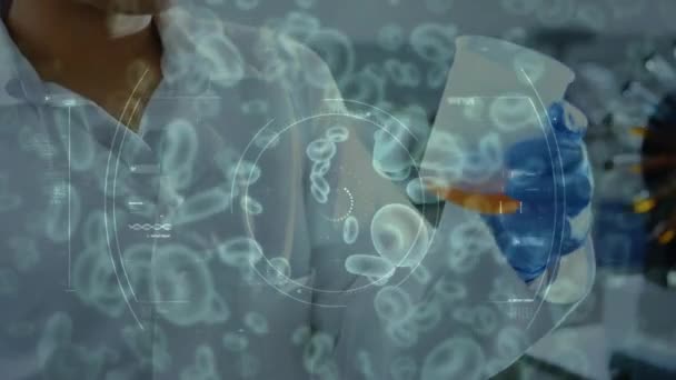 在实验室里 在女性身上对大肠埃希菌细胞进行动画化 全球联盟19大流行病 医药和保健服务概念数字制作视频 — 图库视频影像