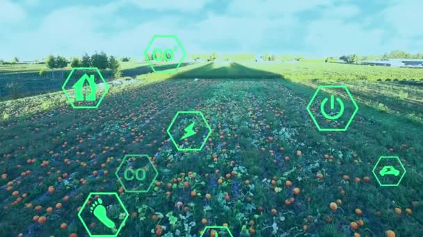 数字生态和绿色能源图标在田野上的动画 全球环境 绿色能源和数字视频接口概念 — 图库视频影像
