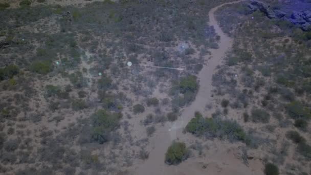 Animatie Van Netwerken Van Verbindingen Het Landschap Wereldwijde Verbindingen Digitale — Stockvideo