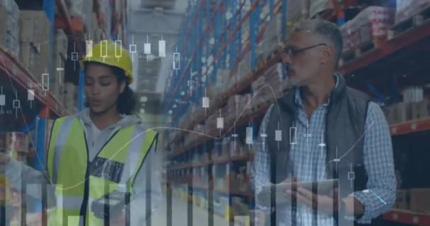 倉庫で働く男性と女性に関する統計的財務データ処理のアニメーション 世界的な出荷と接続の概念デジタル生成されたビデオ — ストック動画