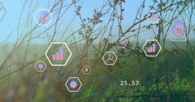 Sahadaki elektrik hatları üzerinde dijital simgelerin ve veri işlemlerinin animasyonu. küresel dijital arayüz, veri işleme ve teknoloji konsepti dijital olarak oluşturulmuş video.